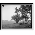 thumbnail image 1 of Historic Framed Print, The Wheatfield [i.e. Wheat Field], Gettysburg, 17-7/8" x 21-7/8", 1 of 9