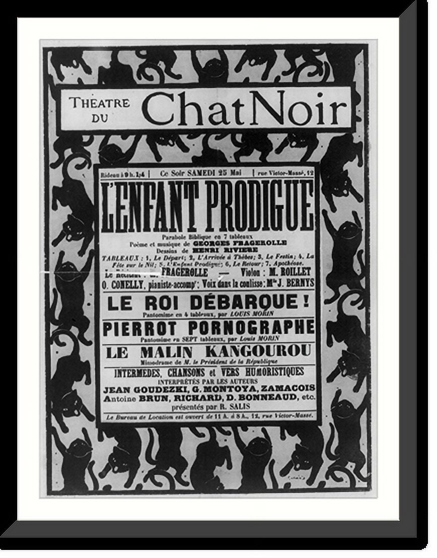 chat noir program