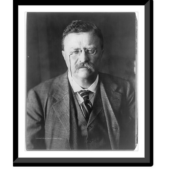 Historic Framed Print, Theodore Roosevelt, 1858-1919, 17-7/8" x 21-7/8"