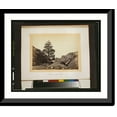 thumbnail image 1 of Historic Framed Print, Thousand Mile Tree - Wilhelmina's Pass, 17-7/8" x 21-7/8", 1 of 9