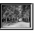 thumbnail image 1 of Historic Framed Print, Through the birches, Harbor Beach, 17-7/8" x 21-7/8", 1 of 9