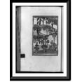 thumbnail image 1 of Historic Framed Print, [Trees with medicinal virtues, growing naturally and cultivated in pots], 17-7/8" x 21-7/8", 1 of 9