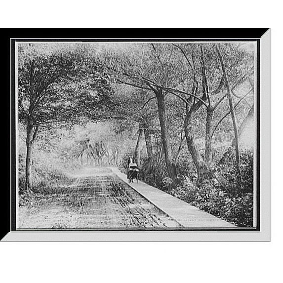 Historic Framed Print, Under the willows, Rye Beach, N.H., 17-7/8" x 21-7/8"