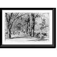 thumbnail image 1 of Historic Framed Print, [Washington elms in April], 17-7/8" x 21-7/8", 1 of 9