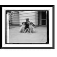 thumbnail image 1 of Historic Framed Print, White House dogs, 9/23/26, 17-7/8" x 21-7/8", 1 of 9