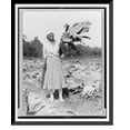 thumbnail image 1 of Historic Framed Print, [Woman, full-length portrait, standing in field, facing front, holding tobacco leaf, in Washington, D.C. area(?)], 17-7/8" x 21-7/8", 1 of 9