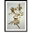 thumbnail image 1 of Historic Framed Print, Yellow-breasted Warbler, 17-7/8" x 21-7/8", 1 of 9