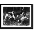 thumbnail image 1 of Historic Framed Print, Yoked and muzzled; find the parallel, 17-7/8" x 21-7/8", 1 of 9