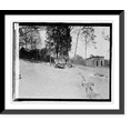 thumbnail image 1 of Historic Framed Print, Zoo: hog, deer, 17-7/8" x 21-7/8", 1 of 9