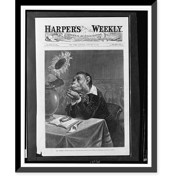 Historic Framed Print, The aesthetic monkey.engraved, by permission, from the picture by W.H. Beard, in the possession of Mr. Hugh Auchinclos., 17-7/8" x 21-7/8"