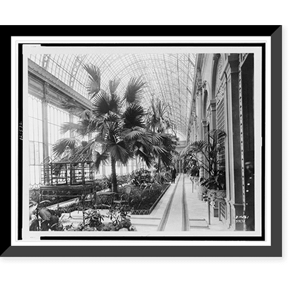 Historic Framed Print, The magnificent conservatory of the beautiful Abdin Palace in Cairo - palatial residence of King Ahmed Fuad of Egypt, 17-7/8" x 21-7/8"