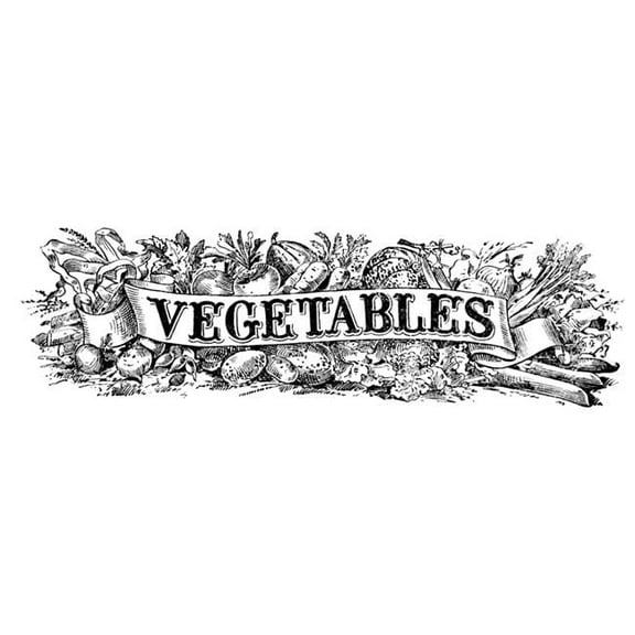 Historic Illustration of Vegetables with Graphic Banner From The 20th Century Poster Print 26 x 9 in.