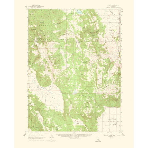 Topographical Map - Likely California Quad - USGS 1964 - 23 x 28.46 - Vintage Wall Art