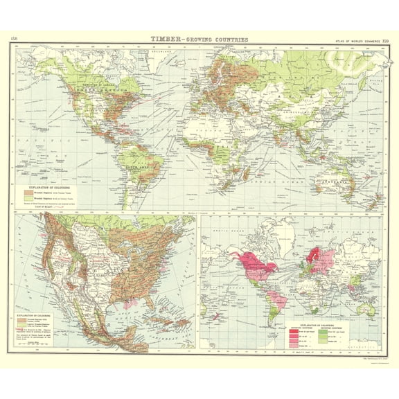 Historic Map - Global Timber Growing Countries - Bartholomew 1907 - 23 x 27.13 - Vintage Wall Art