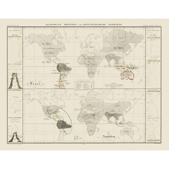 Historic Map - World Herpetological - 1845 - 29.48 x 23 - Vintage Wall Art