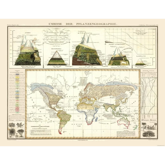 Historic Map - World Plant Geography - Perthes 1838 - Vintage Wall Art