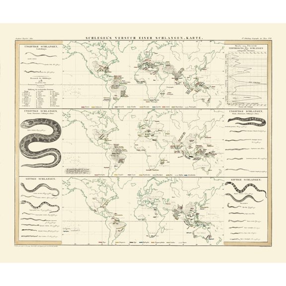 Historic Map - World Snakes - Berghaus - Vintage Wall Art