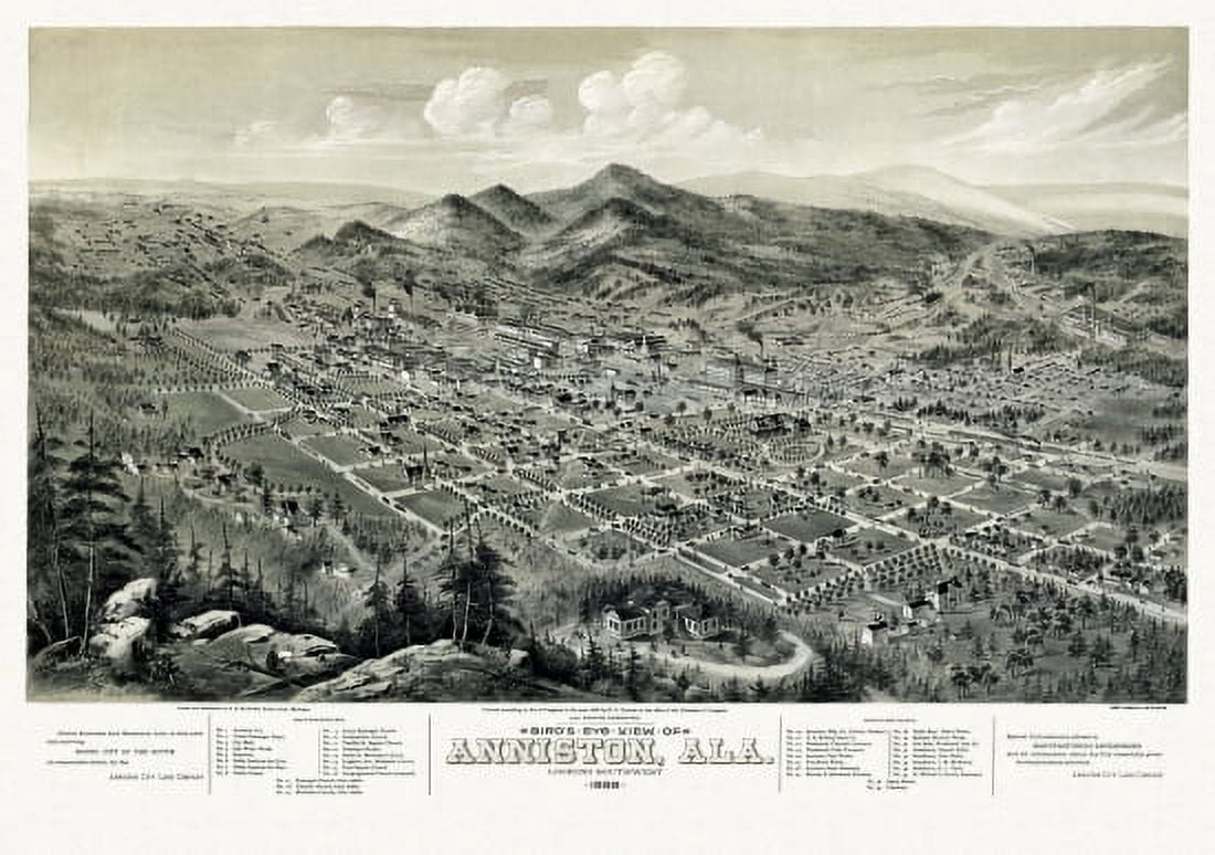 Historic Map of Anniston Alabama 1888 Calhoun County Canvas Art -  (36 x 54)