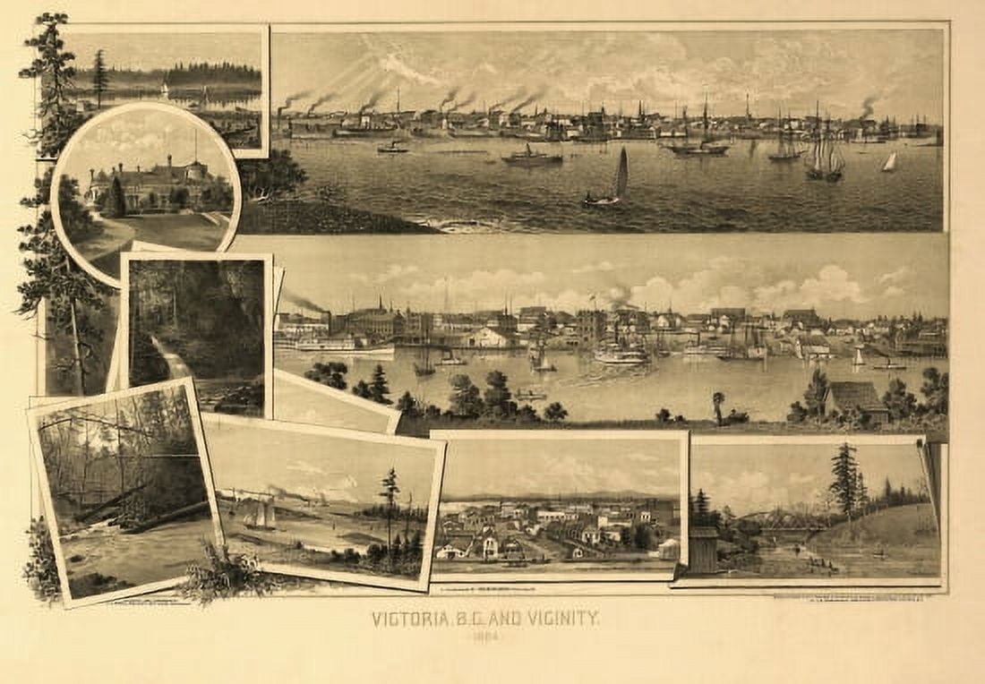 Historic Map of Victoria 1884 County Canvas Art - (18 x 24)