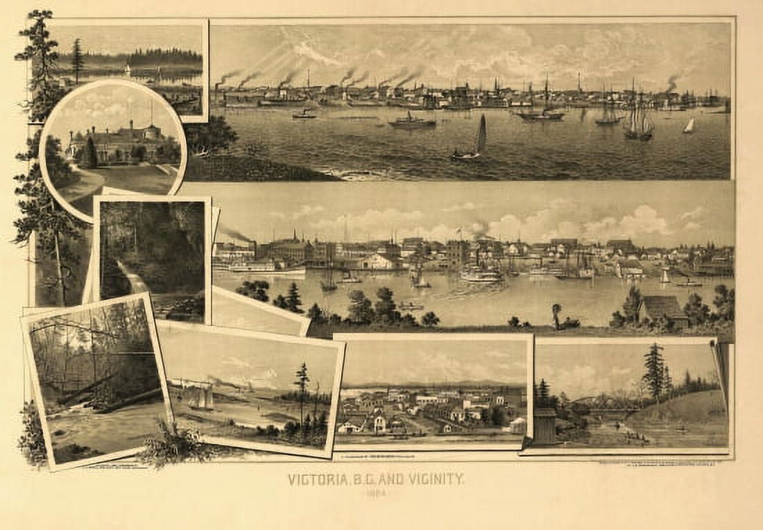 Historic Map of Victoria 1884 County Canvas Art - (24 x 36)