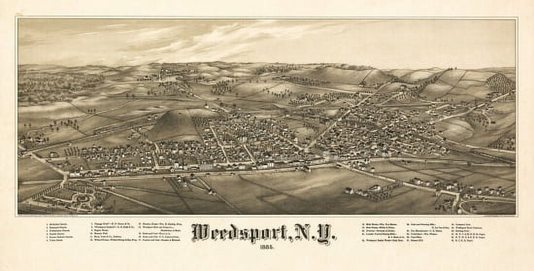 Historic Map of Weedsport New York 1885 Cayuga County Canvas Art - (18 x 24)