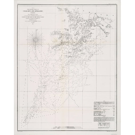 Historic Nautical Map - Cedar Keys - Duval 1889 - Vintage Wall Art