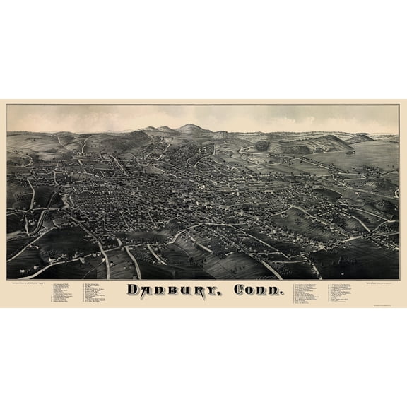 Historic Panoramic View - Danbury Connecticut - Burleigh 1884 - Vintage Wall Art