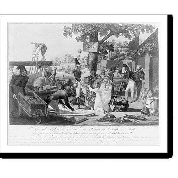 Historic Print, 1ere vue d'Aigleville, colonie du Texas ou Champ d'Asile. Occupations des nouveaux colons, Fort Henri, chemin couvert qui mène au fort ed habitation d'un colon, 16" x 20"