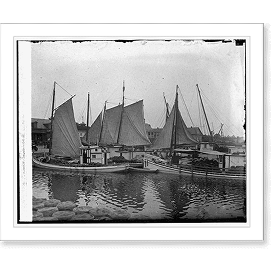 Historic Print, 1st fleet of watermelons from nearby farms, [8/11/25], 16" x 20"