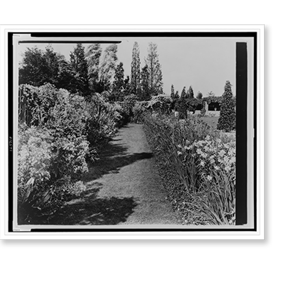 Historic Print, [A.C. James home, Suprise Valley", view of flowers in the Blue Garden, Newport, Rhode Island]" - 2, 16" x 20"