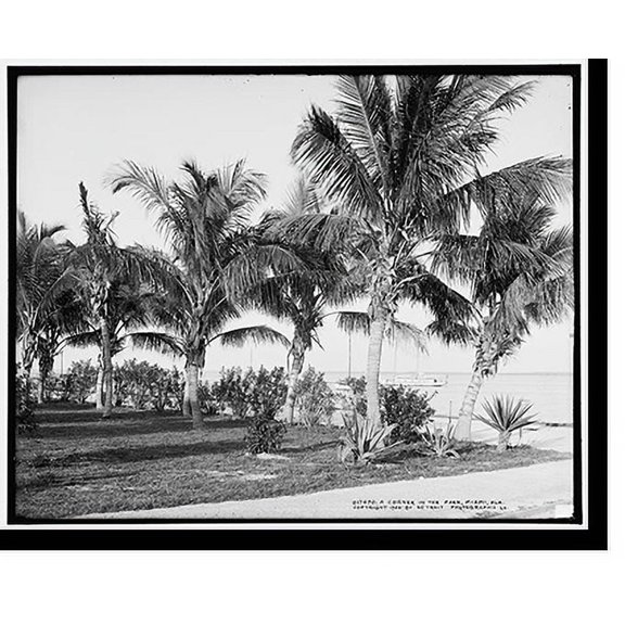 Historic Print, A Corner in the park, Miami, Fla., 18" x 24"