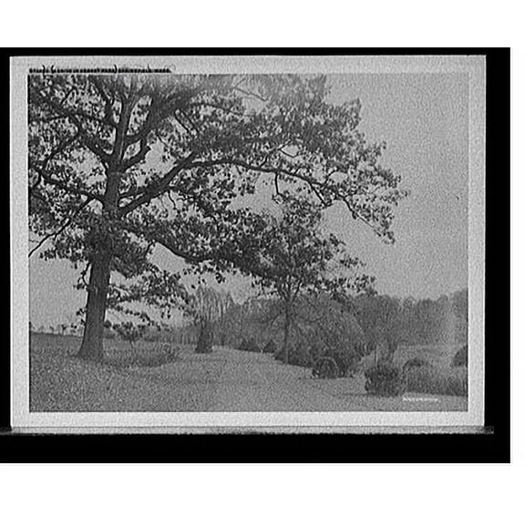 Historic Print, A Drive in Forest Park, Springfield, Mass., 18" x 24"
