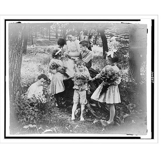 Historic Print, [A Lesson in botany, Camp Algonquin], 16" x 20"