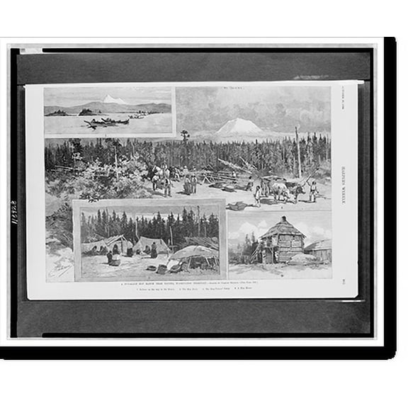 Historic Print, A Puyallup hop ranch near Tacoma, Washington Territory.drawn by Charles Graham., 18" x 24"