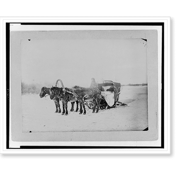 Historic Print, [A Siberian posting sledge drawn by three horses], 18" x 24"