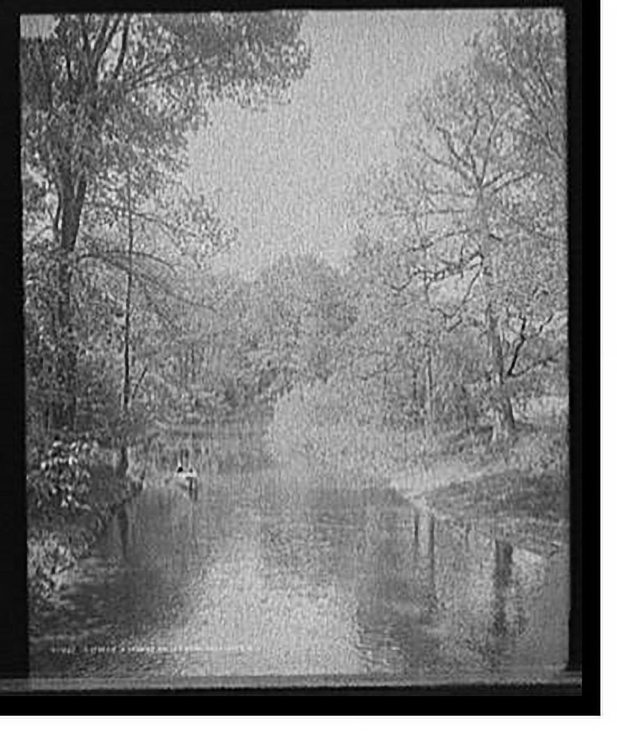 Historic Print, A Stream in Genesee Valley Park, Rochester, N.Y., 16" x