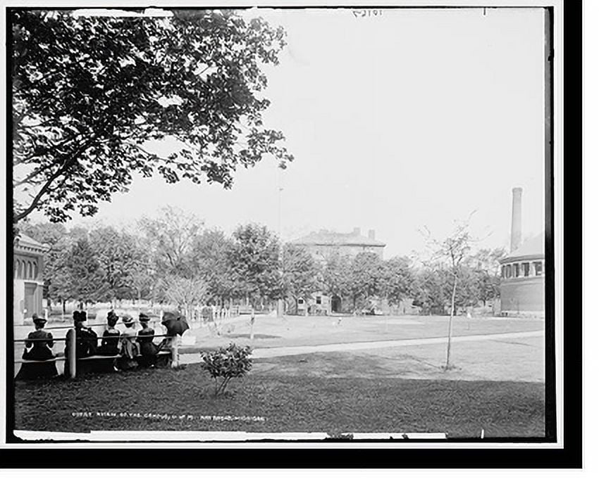 Historic Print, A View of the campus, U. of M., Ann Arbor, Michigan 2
