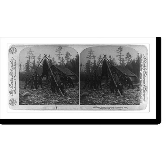 Historic Print, A camp scene - hanging up the big bear, 16" x 20"