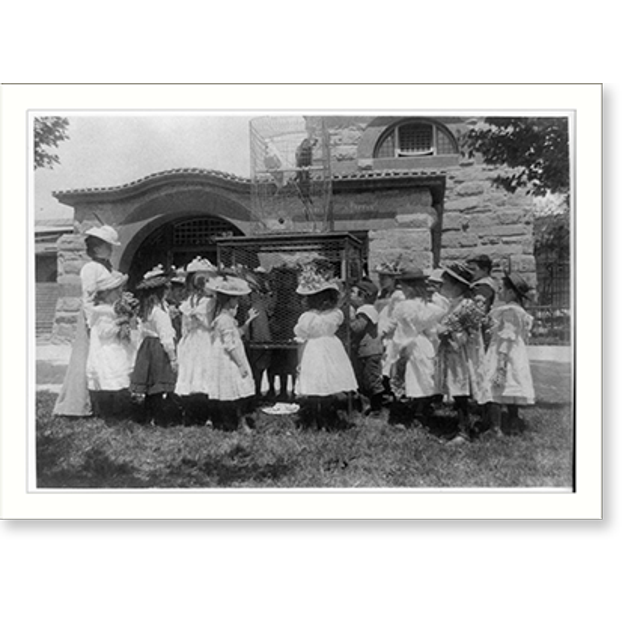 Historic Print, [A class at the zoo the bird cage], 16" x 20