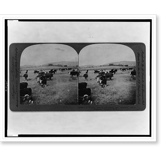 Historic Print, A fruitful teeming soil where the ranchers toil" - Paloduro, Texas, U.S.A.", 18" x 24"