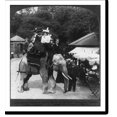 Historic Print, A goodnatured elephant free rides for the children Zoological Gardens