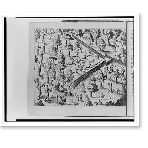 Historic Print, [A method of hunting deer in the Northeast], 18" x 24"