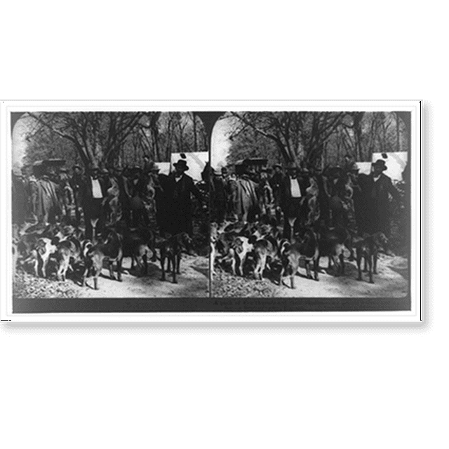 Historic Print, A pack of fox hounds and victims two prairie wolves