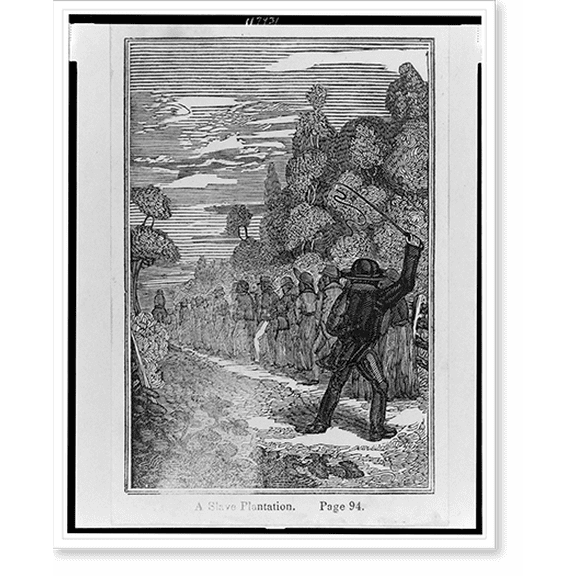 Historic Print, A slave plantation, 18" x 24"