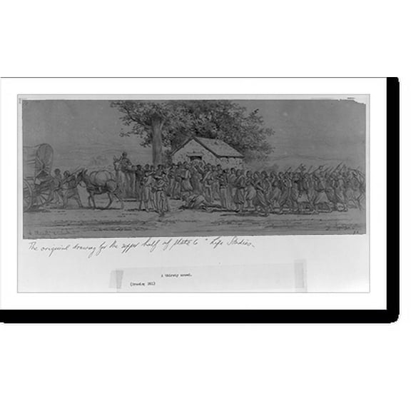 Historic Print, A thirsty crowd, 18" x 24"