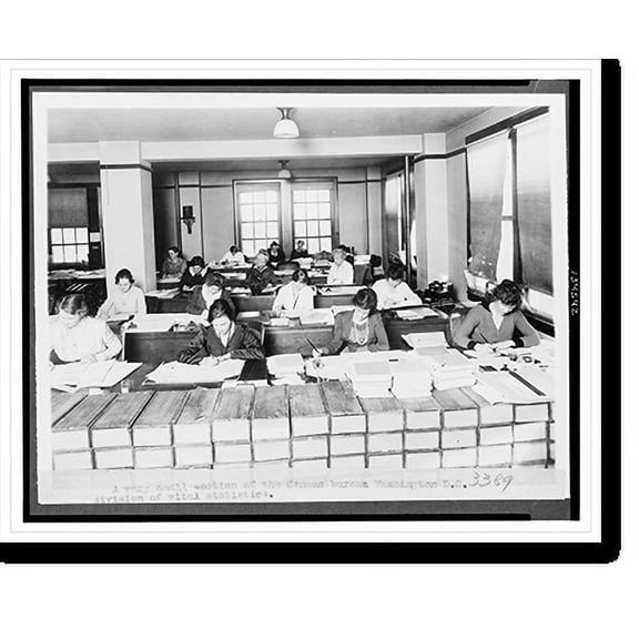 Historic Print, A very small section of the Census Bureau, Washington, D.C. - division of vital statistics, 16" x 20"