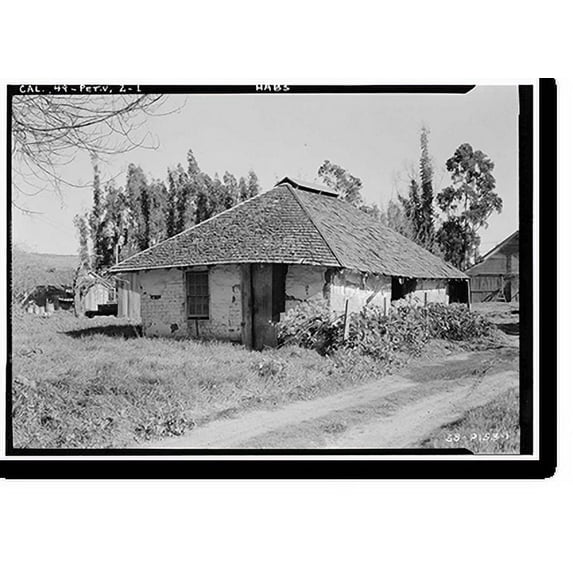 Historic Print, Adobe, Northeast of Petaluma on Pacific Duck Farm, Petaluma vicinity, Sonoma County, CA, 16" x 20"