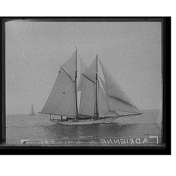 Historic Print, Adrienne - 5, 16" x 20"