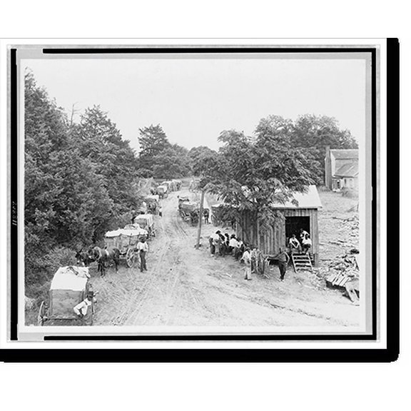 Historic Print, [African Americans around small building and wagons loaded with cotton], 16" x 20"