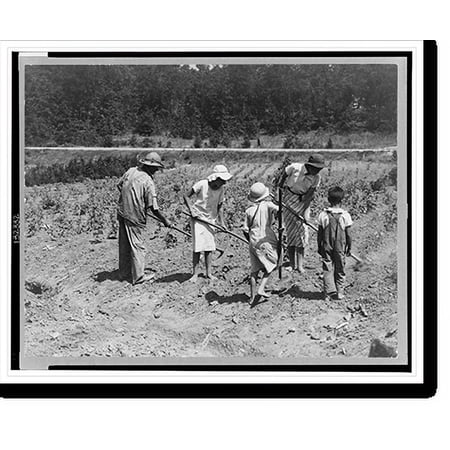 Historic Print, Alabama tenant farmer and children. Family labor in cotton. Near Anniston, Alabama, 16" x 20"